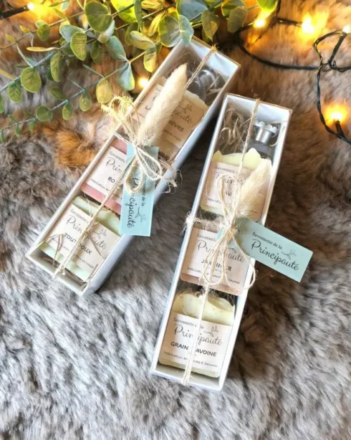 etui-blanc etui-blanc