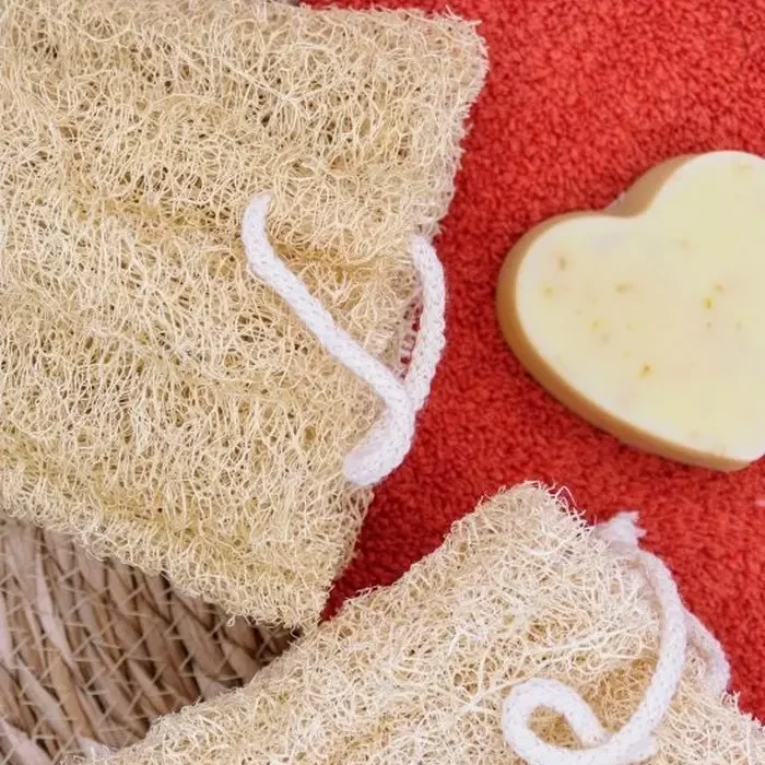 eponge luffa eponge luffa