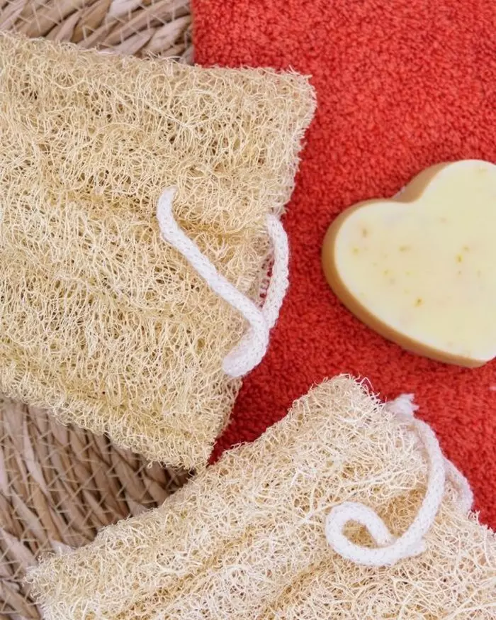 eponge luffa eponge luffa