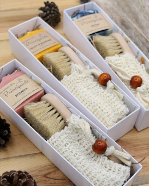 brosse-à-visage-01 brosse-à-visage-01